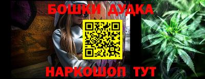 альфа пвп Новодвинск