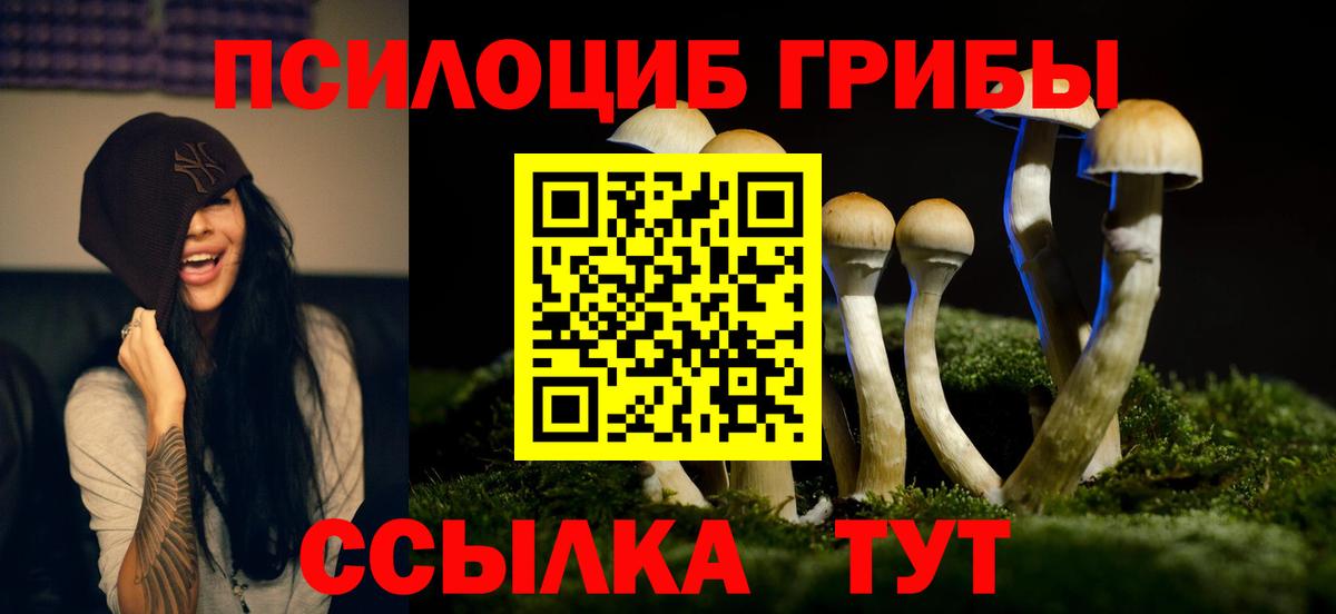 Ялуторовск  Галлюциногенные грибы мицелий  Псилоцибиновые грибы GOLDEN TEACHER  Вход с VPN 